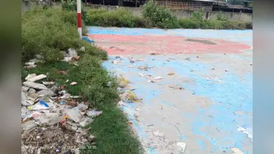लाखों से बना बास्केटबॉल कोर्ट बदहाल, झाड़ियों में घिरा खेल मैदान, खिलाड़ी परेशान
